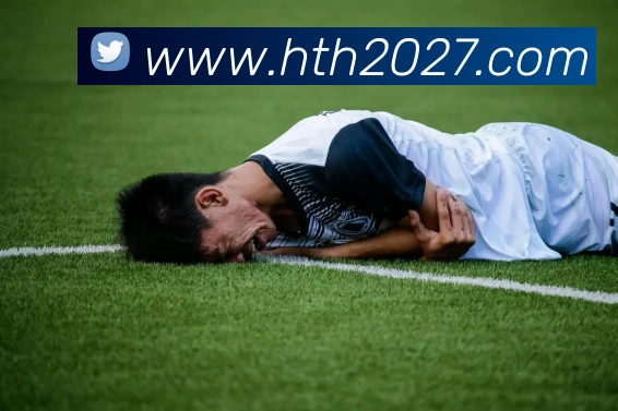 App Interface Preview